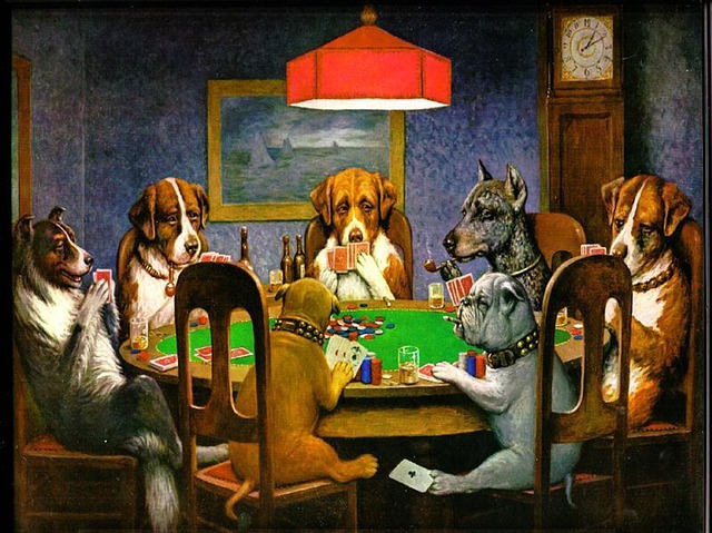 bli pokerproffs